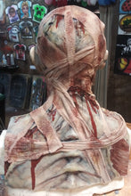 Load image into Gallery viewer, Evie Silicone Mask "Blue Skin"