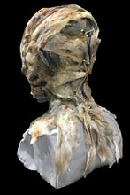 Load image into Gallery viewer, Anubus Mummy Mask