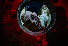 Load image into Gallery viewer, Ripface Silicone Mask "Flesh Skin"