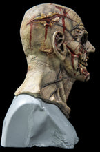 Load image into Gallery viewer, Corbus Silicone Mask "Grey/Green Skin"