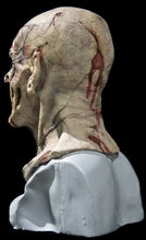 Load image into Gallery viewer, Corbus Silicone Mask "Grey/Green Skin"