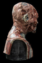 Load image into Gallery viewer, Evie Silicone Mask "Blue Skin"