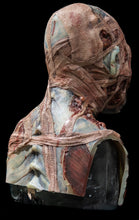 Load image into Gallery viewer, Evie Silicone Mask "Blue Skin"