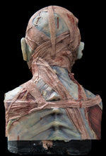 Load image into Gallery viewer, Evie Silicone Mask "Blue Skin"