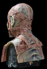 Load image into Gallery viewer, Evie Silicone Mask "Blue Skin"