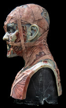 Load image into Gallery viewer, Evie Silicone Mask "Blue Skin"