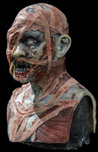 Load image into Gallery viewer, Evie Silicone Mask "Blue Skin"