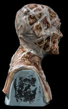 Load image into Gallery viewer, Evie Silicone Mask "Flesh Skin"