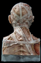 Load image into Gallery viewer, Evie Silicone Mask "Flesh Skin"