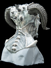 Load image into Gallery viewer, Velnias Silicone Mask "White Skin"