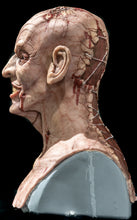 Load image into Gallery viewer, The Puppetman Silicone Mask "Flesh Skin"