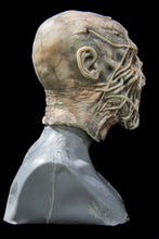 Load image into Gallery viewer, Demona Silicone Mask "White Skin"