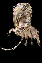 Load image into Gallery viewer, Queencrow Scarecrow Mask