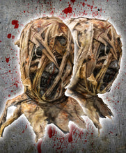 Load image into Gallery viewer, Serum Mummy Mask